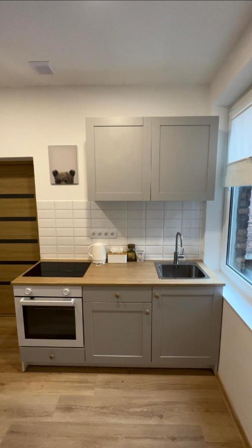 Wood Apartment Katoviçe Dış mekan fotoğraf